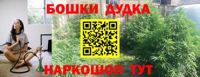 гидра Нальчик